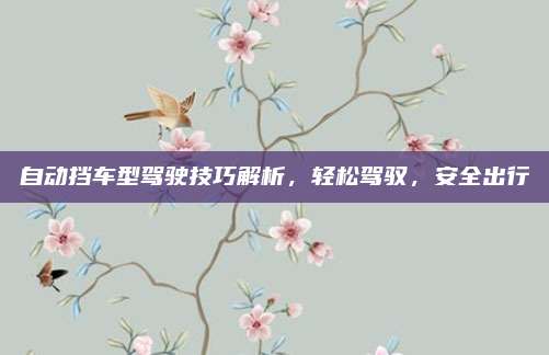 自动挡车型驾驶技巧解析,轻松驾驭,安全出行