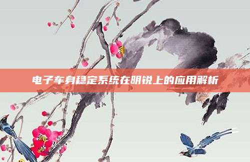 电子车身稳定系统在明锐上的应用解析