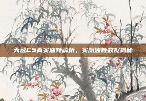 天逸C5真实油耗解析,实测油耗数据揭秘