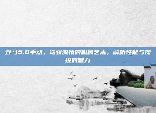 野马5.0手动，驾驭激情的机械艺术，解析性能与操控的魅力