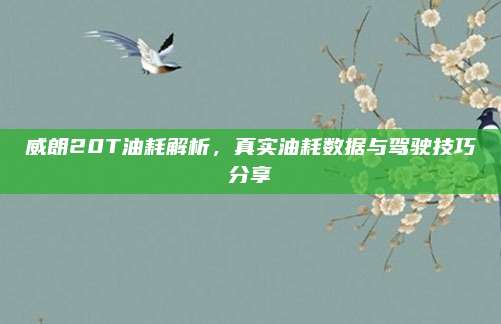 威朗20T油耗解析，真实油耗数据与驾驶技巧分享