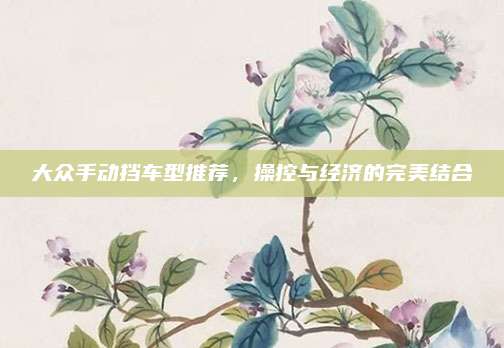 大众手动挡车型推荐,操控与经济的完美结合
