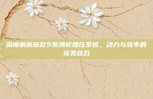 深度解析新款5系涡轮增压系统,动力与效率的完美结合