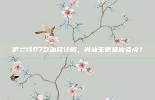 伊兰特07款油耗详解,省油王还是油老虎?