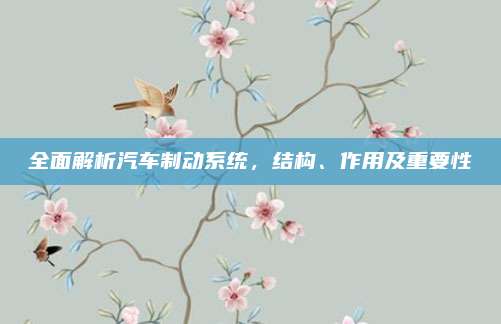 全面解析汽车制动系统,结构、作用及重要性