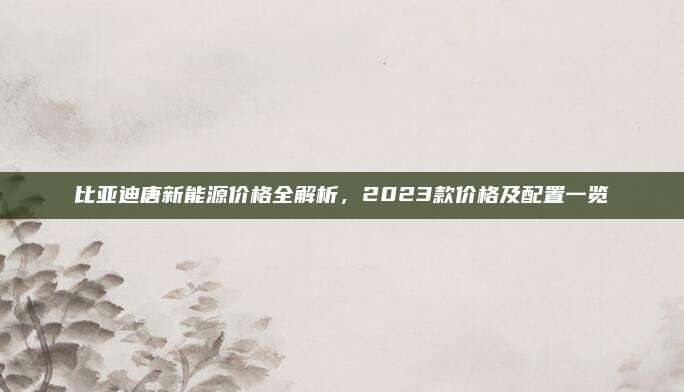 比亚迪唐新能源价格全解析,2023款价格及配置一览