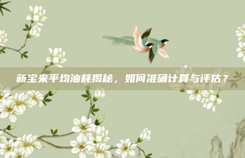 新宝来平均油耗揭秘,如何准确计算与评估?