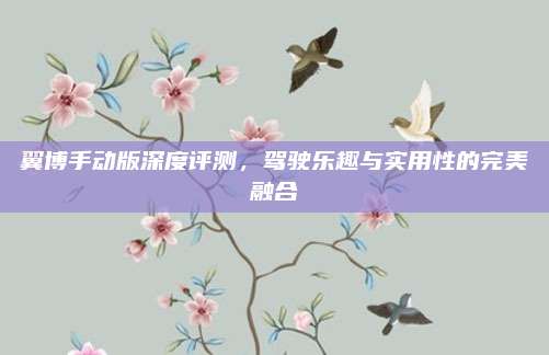 翼博手动版深度评测，驾驶乐趣与实用性的完美融合