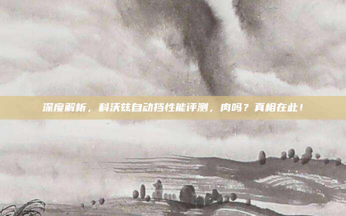 深度解析,科沃兹自动挡性能评测,肉吗?真相在此!