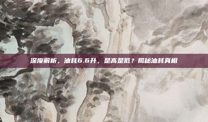 深度解析,油耗6.6升,是高是低?揭秘油耗真相