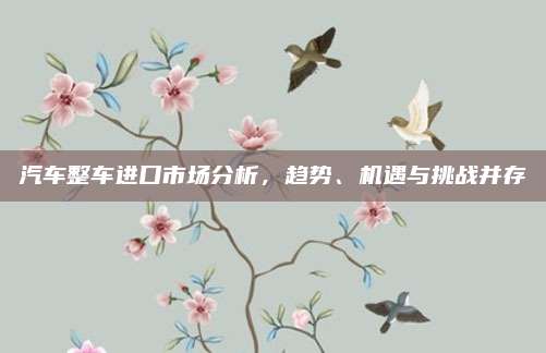 汽车整车进口市场分析,趋势、机遇与挑战并存