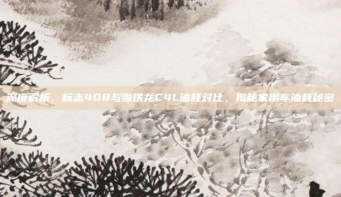 深度解析,标志408与雪铁龙C4L油耗对比,揭秘家用车油耗秘密