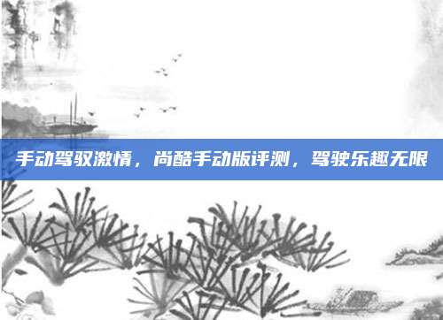 手动驾驭激情,尚酷手动版评测,驾驶乐趣无限