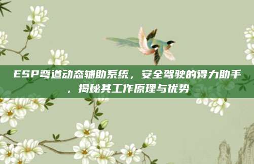 ESP弯道动态辅助系统,安全驾驶的得力助手,揭秘其工作原理与优势