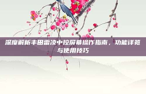 深度解析丰田雷凌中控屏幕操作指南,功能详览与使用技巧