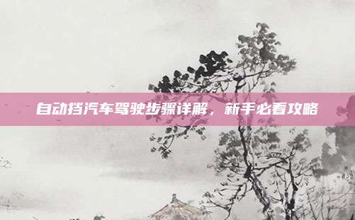 自动挡汽车驾驶步骤详解,新手必看攻略