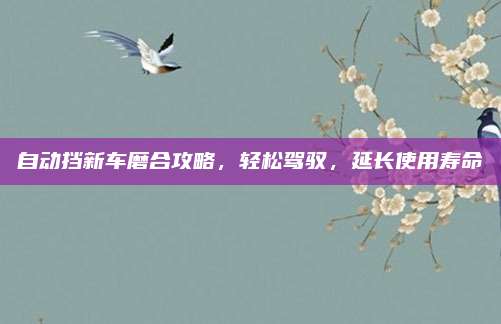 自动挡新车磨合攻略,轻松驾驭,延长使用寿命