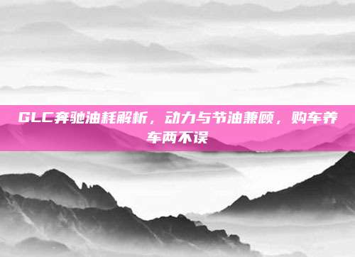 GLC奔驰油耗解析,动力与节油兼顾,购车养车两不误