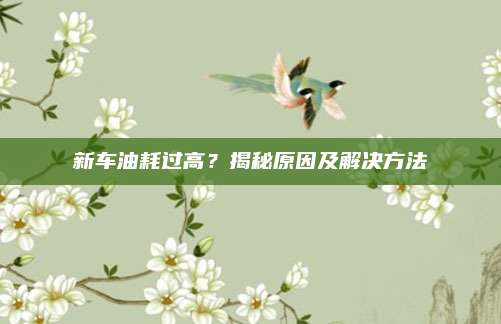新车油耗过高?揭秘原因及解决方法