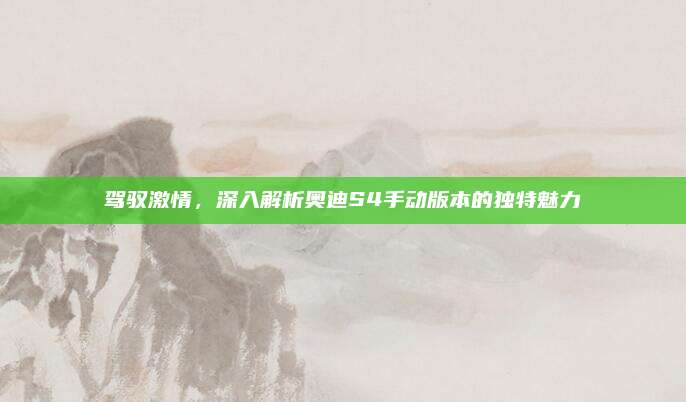 驾驭激情,深入解析奥迪S4手动版本的独特魅力