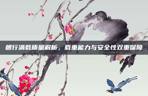 朗行满载质量解析,载重能力与安全性双重保障