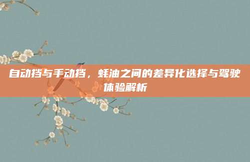 自动挡与手动挡,蚝油之间的差异化选择与驾驶体验解析