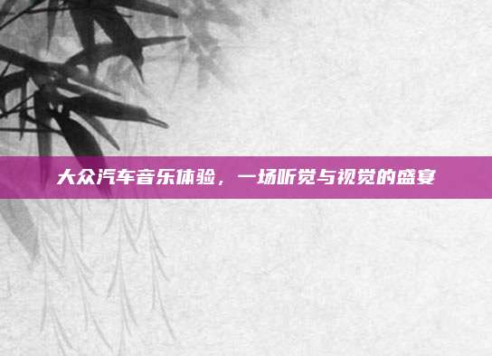 大众汽车音乐体验,一场听觉与视觉的盛宴