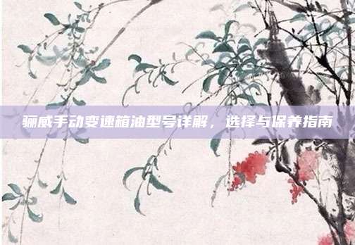 骊威手动变速箱油型号详解,选择与保养指南