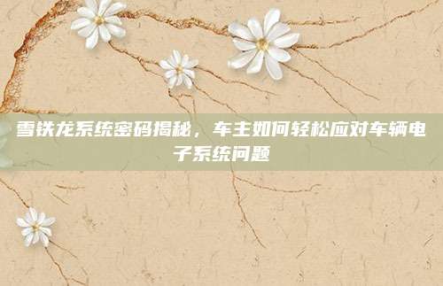 雪铁龙系统密码揭秘,车主如何轻松应对车辆电子系统问题