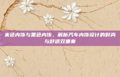 米色内饰与黑色内饰,解析汽车内饰设计的时尚与舒适双重奏