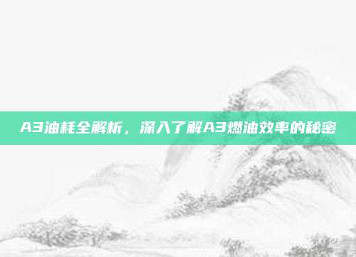 A3油耗全解析,深入了解A3燃油效率的秘密
