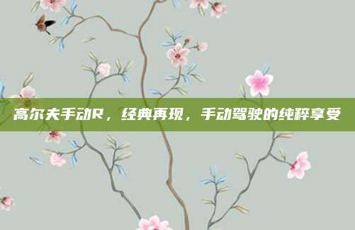高尔夫手动R,经典再现,手动驾驶的纯粹享受