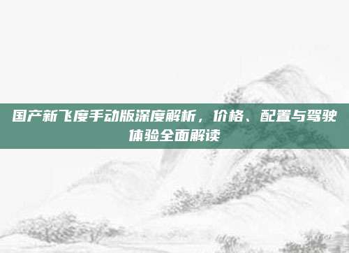 国产新飞度手动版深度解析,价格、配置与驾驶体验全面解读