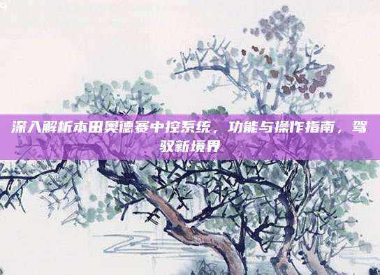 深入解析本田奥德赛中控系统，功能与操作指南，驾驭新境界