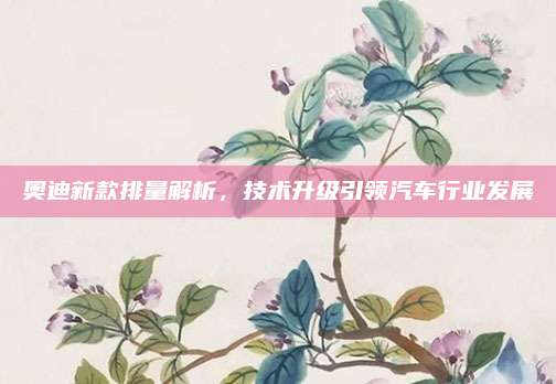 奥迪新款排量解析，技术升级引领汽车行业发展
