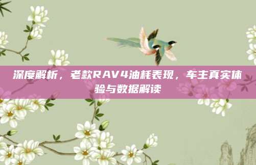 深度解析，老款RAV4油耗表现，车主真实体验与数据解读
