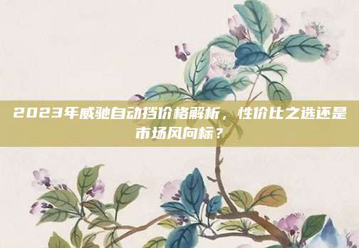 2023年威驰自动挡价格解析,性价比之选还是市场风向标?
