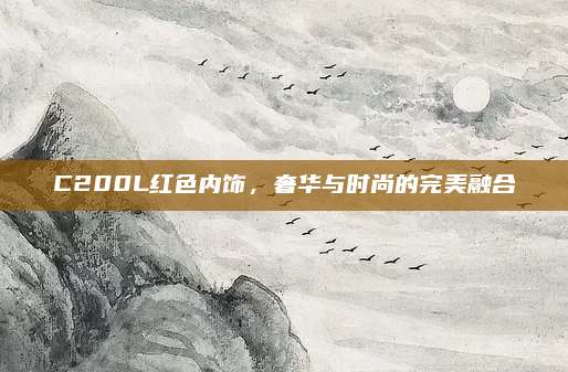 C200L红色内饰，奢华与时尚的完美融合