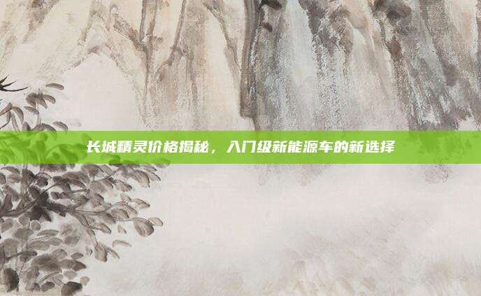 长城精灵价格揭秘，入门级新能源车的新选择