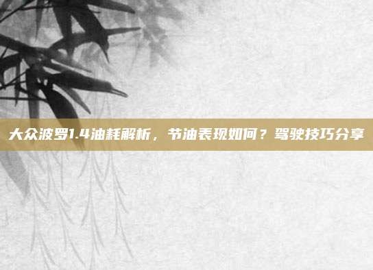 大众波罗1.4油耗解析,节油表现如何?驾驶技巧分享