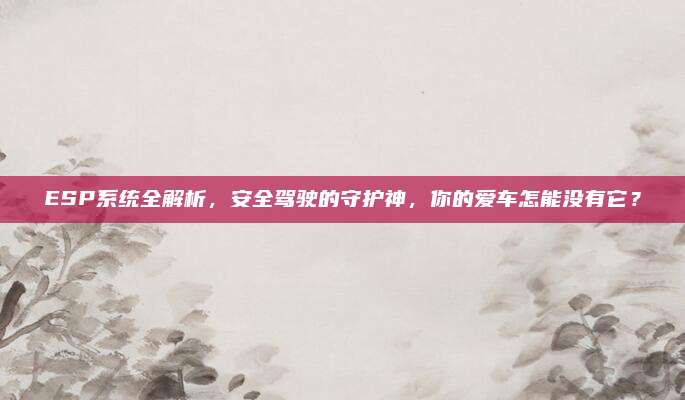 ESP系统全解析，安全驾驶的守护神，你的爱车怎能没有它？