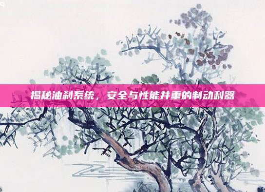 揭秘油刹系统,安全与性能并重的制动利器