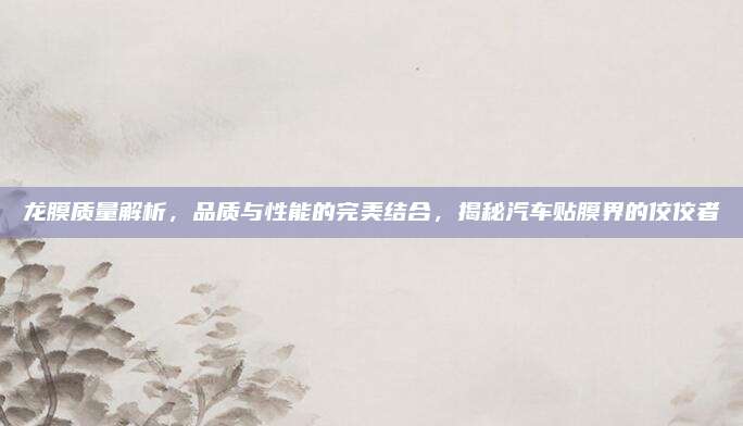 龙膜质量解析,品质与性能的完美结合,揭秘汽车贴膜界的佼佼者