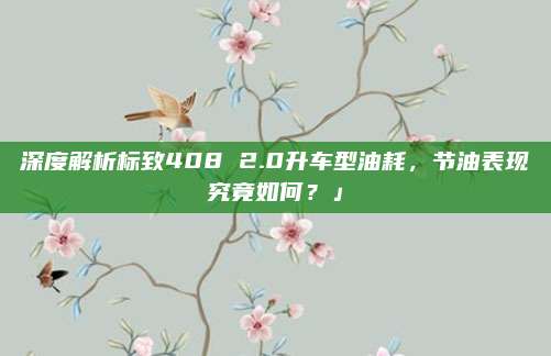 深度解析标致408 2.0升车型油耗,节油表现究竟如何?」