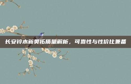 长安铃木新奥拓质量解析，可靠性与性价比兼备