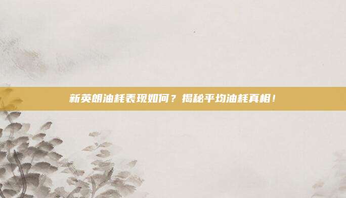 新英朗油耗表现如何？揭秘平均油耗真相！
