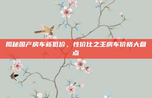 揭秘国产房车新低价，性价比之王房车价格大盘点