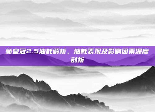 新皇冠2.5油耗解析，油耗表现及影响因素深度剖析