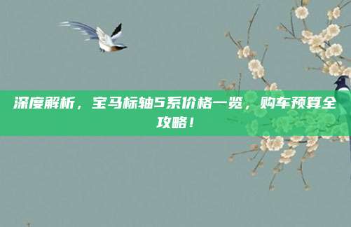 深度解析，宝马标轴5系价格一览，购车预算全攻略！