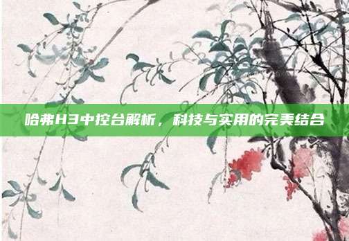 哈弗H3中控台解析，科技与实用的完美结合